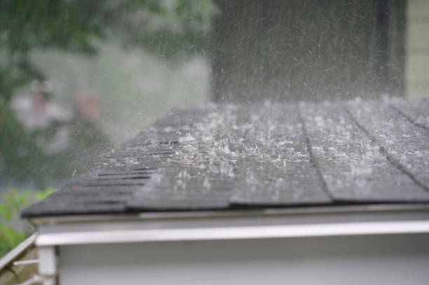 Best Slate Roofing  in Edgewater, FL