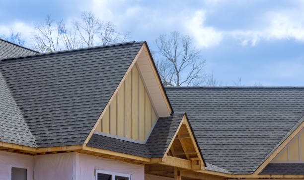 Best Roof Ventilation Installation  in Edgewater, FL