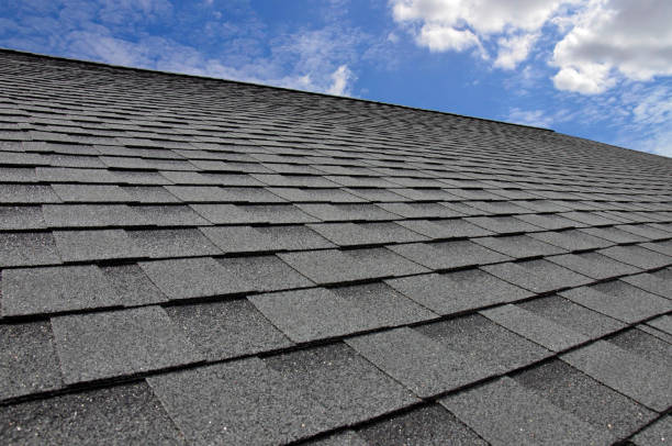 Best Sheet Metal Roofing  in Edgewater, FL